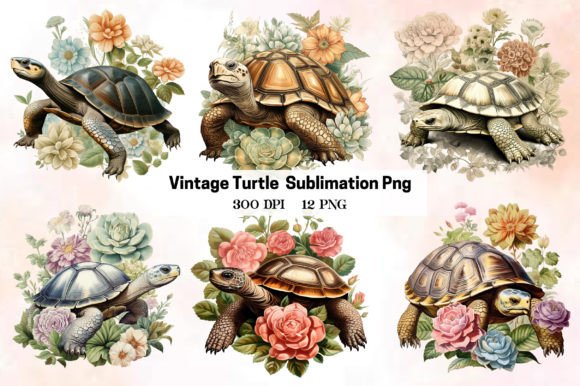 Download Turtle Sublimation Png - Turtle Collection