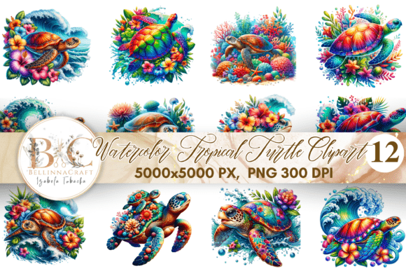 Download Watercolor Tropical Turtle Clipart PNG - Turtle Collection