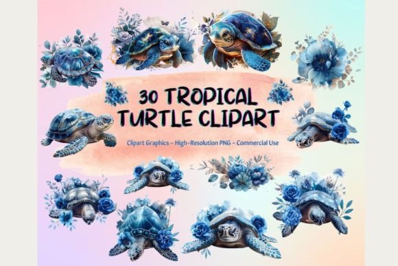 Download 30 Tropical Turtle Clipart - Turtle Collection